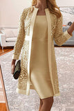 Elegant Solid Lace Hollowed Out Long Sleeve Two Pieces(8 Colors)
