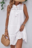Casual Simplicity Solid Tassel Hollowed Out O Neck Sleeveless Dress Dresses