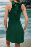 Elegant Vacation Solid Fold Scarf Collar Sleeveless Dress Dresses