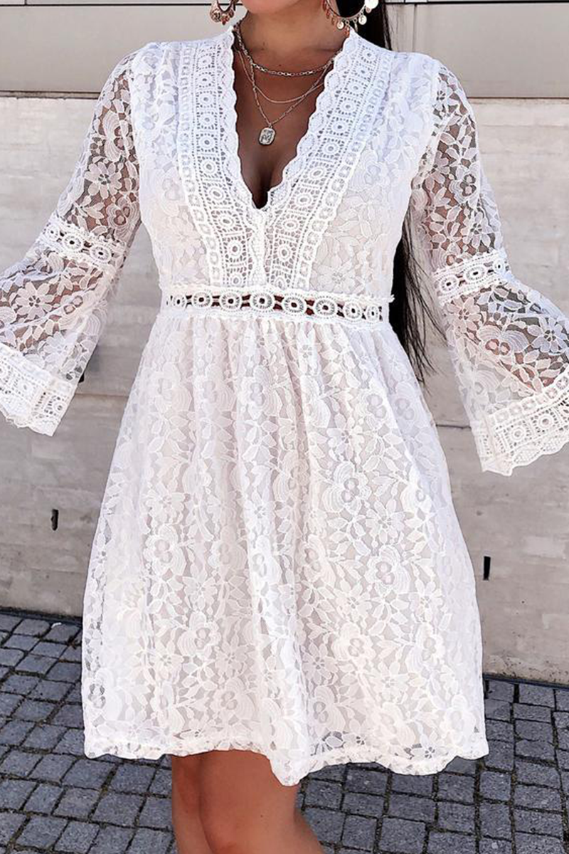 Casual Solid Lace V Neck Cake Skirt Dresses