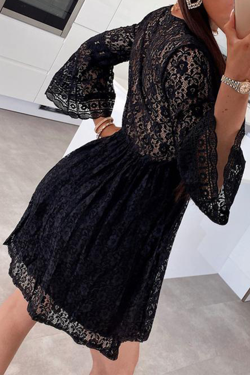 Casual Solid Lace V Neck Cake Skirt Dresses