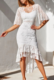 Casual Solid Lace O Neck Trumpet Mermaid Dresses(3 Colors)