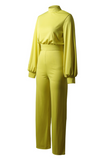 Casual Solid Half A Turtleneck Straight Jumpsuits(3 Colors)