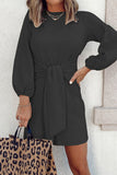 Casual Simplicity Solid O Neck Long Sleeve Dresses