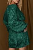 Elegant Solid Sequins Frenulum V Neck A Line Dresses