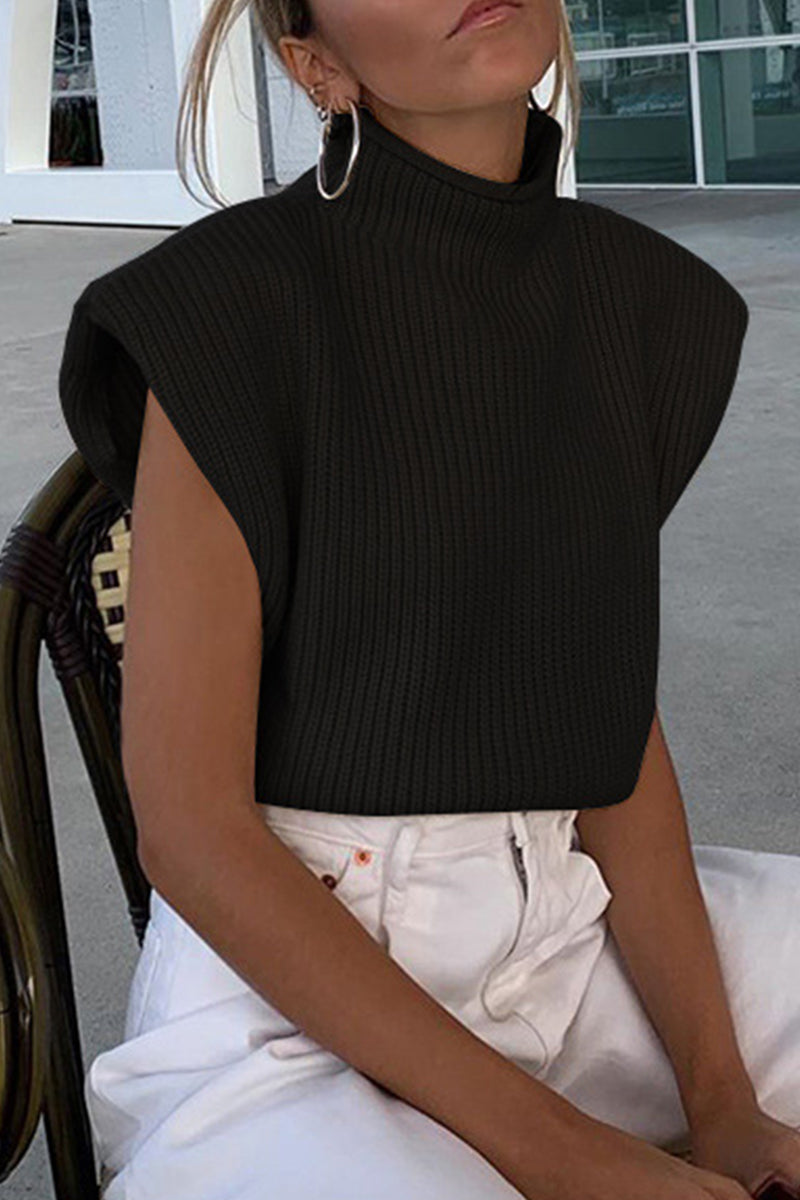 Casual Solid Turtleneck Tops