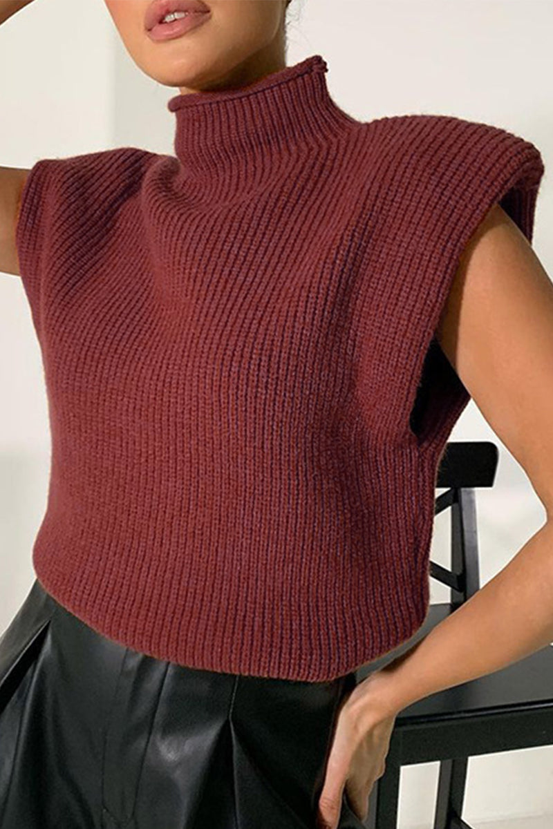 Casual Solid Turtleneck Tops