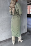Elegant Solid Frenulum Turndown Collar Irregular Dresses(3 Colors)